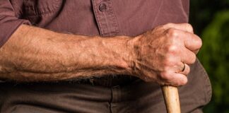 Wycieczki dla seniorów z możliwością kontemplacji natury