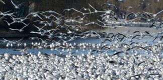 Czy do działki rolnej musi być droga?