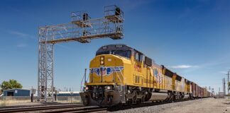 Jaka kosa spalinowa do 800 zł?