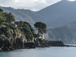 Ile kosztuje samolot 4 osobowy?