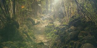 Co zabrać na długą wycieczkę rowerowa?