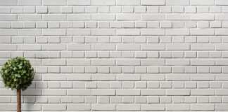 Jakie znaczenie ma bukszpan w Wielkanoc?