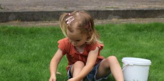 Ile czasu kosi się trawę?