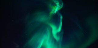 Jak przyspieszyć wzrost pomidorów?