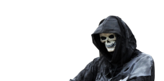 Jaka kosa do 500 zł?