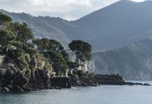 Ile kosztuje mały Citroen? Ile kosztuje mały Citroen?