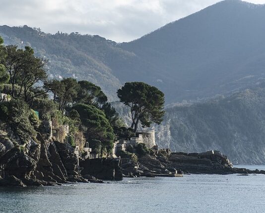 Ile kosztuje mały Citroen?