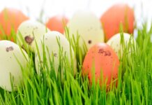 Czy do święconki daje się ser?