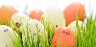 Czy do święconki daje się ser?