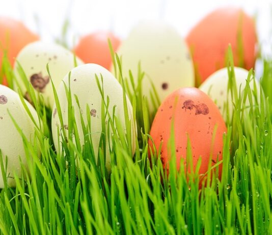 Czy do święconki daje się ser?