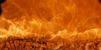 Jaka jest najlepsza marka samochodów na świecie?