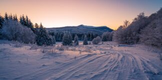 Jakie opony 19 do A6 C7?