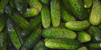 Po czym nie siać ogórków?