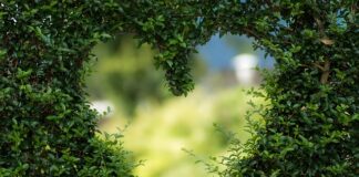 Co zielonego do koszyczka wielkanocnego?