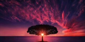 Czy lot nad oceanem jest bezpieczny?