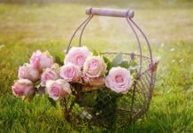 Jaki kosz na śmieci wybrać?