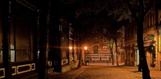 Ile kosztuje metr kostki Holland?