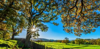 Co zabrać na tor motocyklowy?