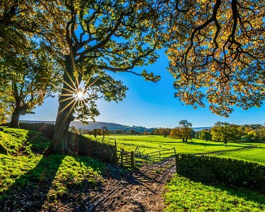 Co zabrać na tor motocyklowy?