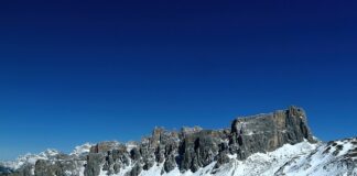 Czy nawóz kurzy nadaje się pod pomidory?