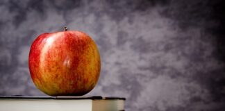 Ile jest klas samochodów?