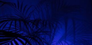 Ile przed 18 można wyrobić PKK?