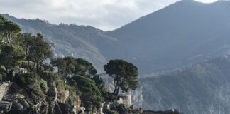 Ile kosztuje położenie 1 m2 kostki brukowej?