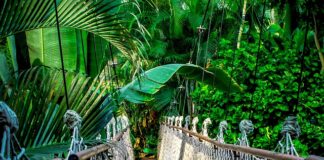 Ile trwa kurs na szybowiec?