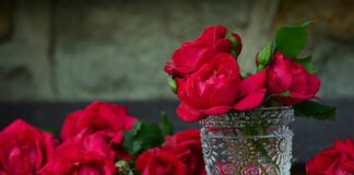 Ile kosztuje pojemnik na odpady zmieszane?