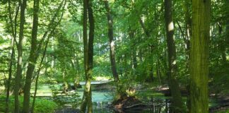 Jak odnowić kufry motocyklowe?