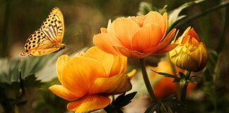 Jaka chemia do mycia motocykla?