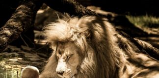 Jak obliczyć objętość naczynia?