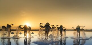 Czy sól niszczy kostkę brukową?