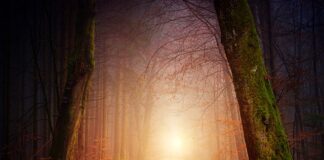 Jakie oświetlenie do kostki?