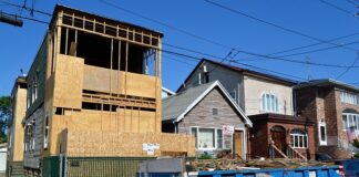 Co posadzić przy śmietniku?