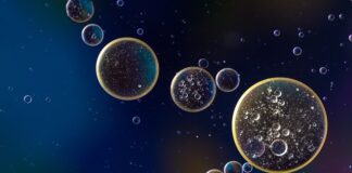 Ile oleju wchodzi do silnika Fiat Sedici 16?