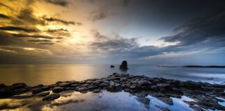 Dlaczego nie mogę dodać produktu do koszyka?