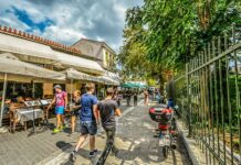 Co to jest Plak? Co to jest Plak?