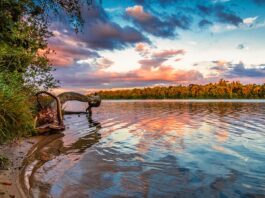 Co się stanie jeśli nie zapłacę za przedmiot na Allegro?
