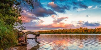 Co się stanie jeśli nie zapłacę za przedmiot na Allegro?