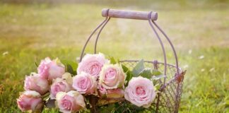 Ile miejsca na kosze na śmieci?