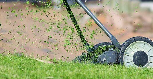 Kiedy ostatni raz można kosić trawę?