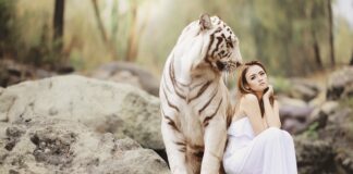 Jaka jest najbardziej niebezpieczną linia lotnicza?