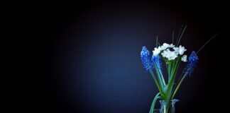 Ile waży citroen saxo 11?