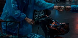 Ile się płaci za kuriera z Allegro?